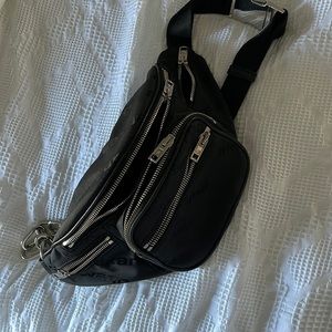 Alexander want Fanny pack